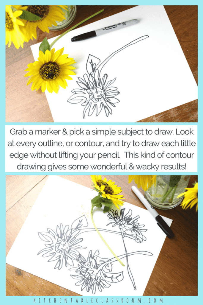 Introduce your kids to the concept of contour drawing with short blind contour line drawing exercises. Contour line drawings teach your kid artists to see!