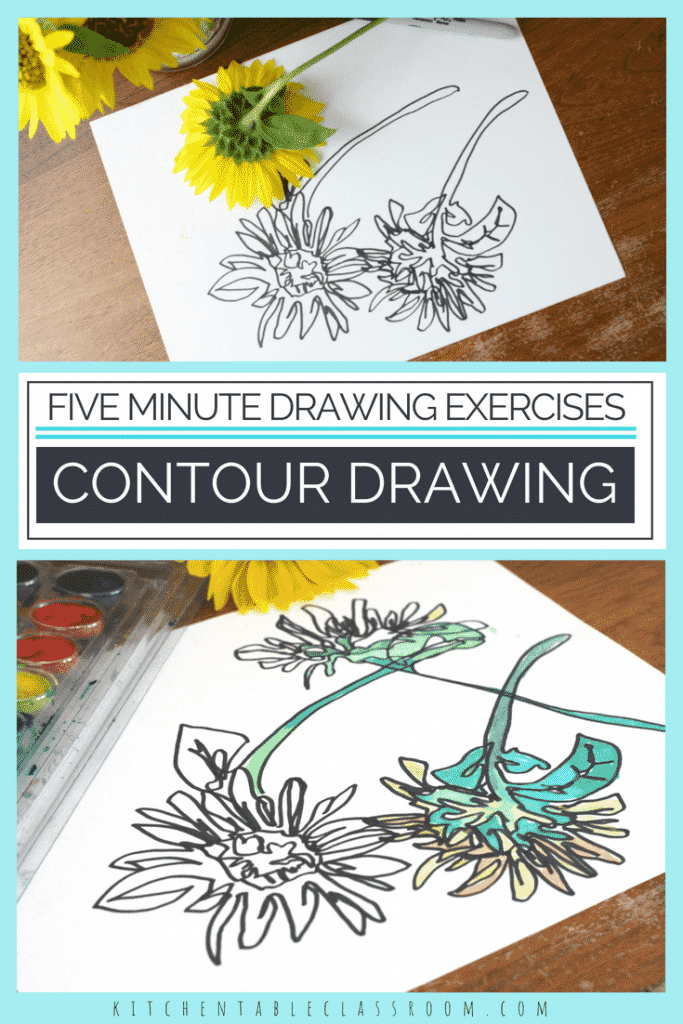 Introduce your kids to the concept of contour drawing with short blind contour line drawing exercises. Contour line drawings teach your kid artists to see!