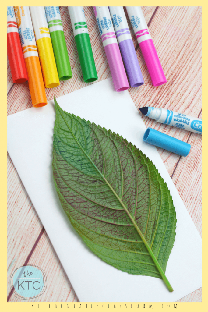 Use washable markers to create these colorful rainbow leaf prints. This is an easy rainbow craft perfect for introducing the colors of the rainbow! #rainbow