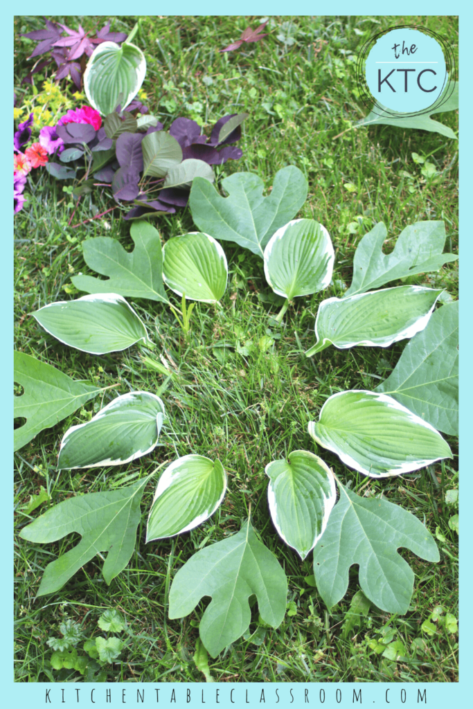 Create a nature mandala with this fun outdoor process art activity for kids of all ages!