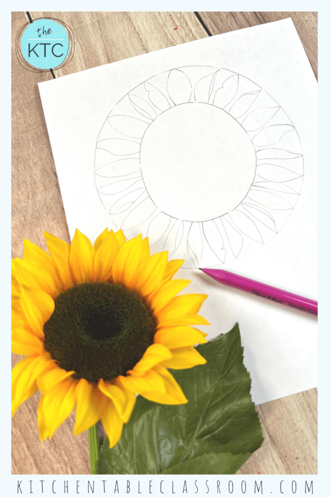 Let's draw a sunflower in this six step pencil drawing lesson.