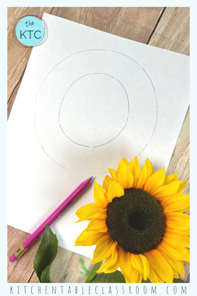 Draw a sunflower in six easy steps with this fun pencil drawing lesson for elementary and middle school.