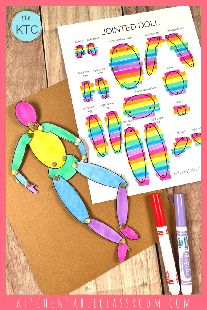 Use this person template as is or add color before creating your jointed paper doll.