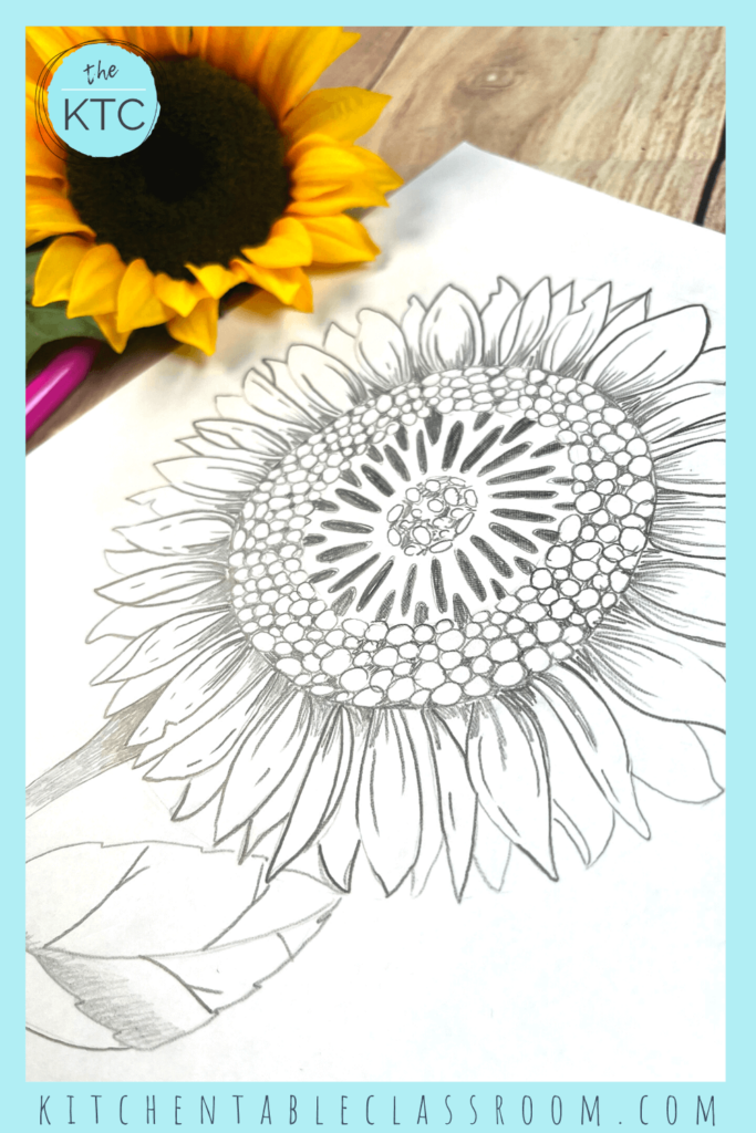 Learn how to teach kids to draw a sunflower with just pencil and paper and six easy in steps!